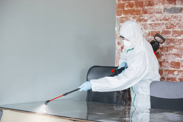 Mold Remediation for Vacation Homes in Brimfield, OH